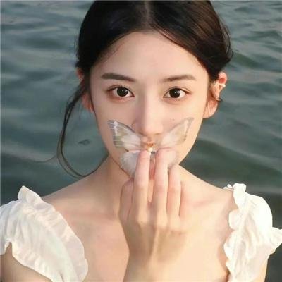 侠盗正传